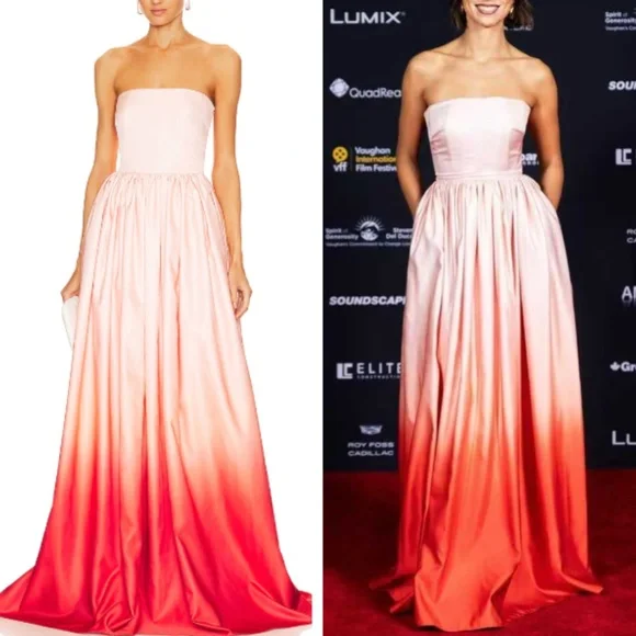 NWT SAU LEE Revolve Teigen Gown Maxi Dress Blush Red Ombre Event Party Cocktail - Picture 1 of 15